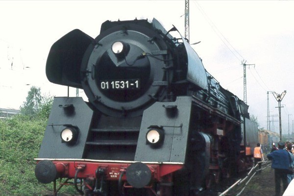 d11