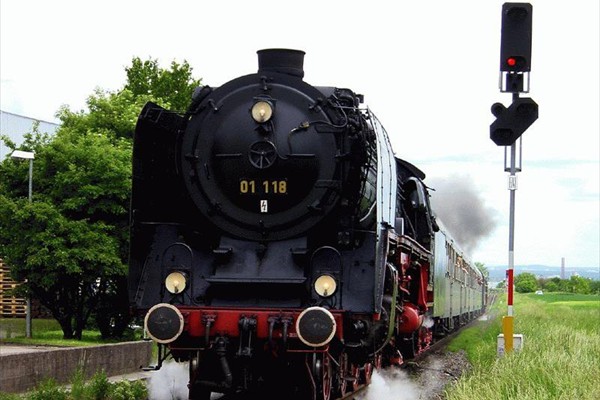 d113