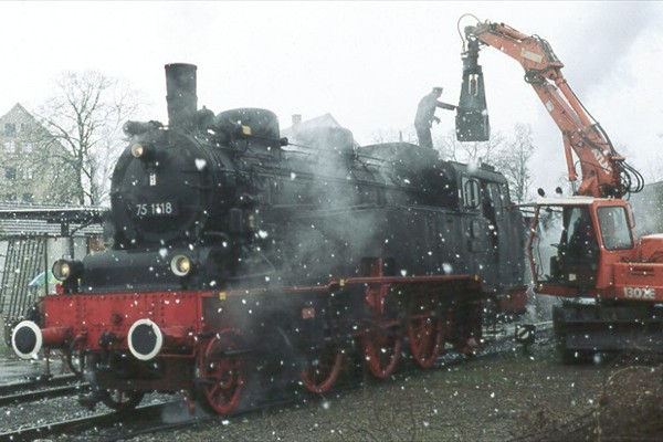 d202