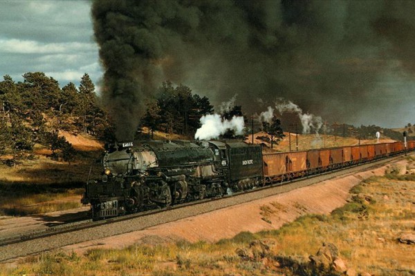 d217