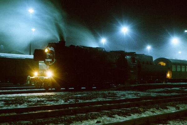 d229