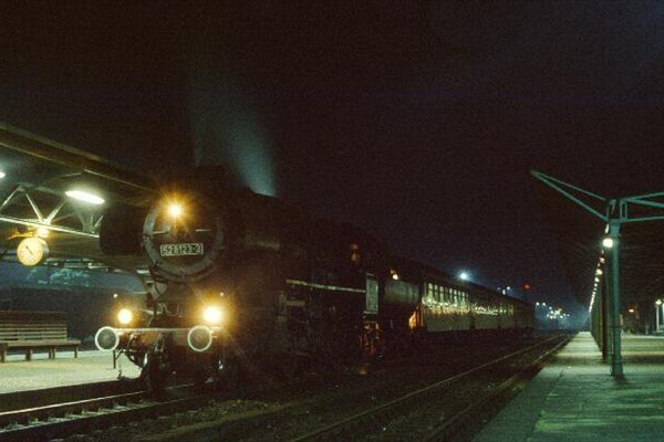 d231
