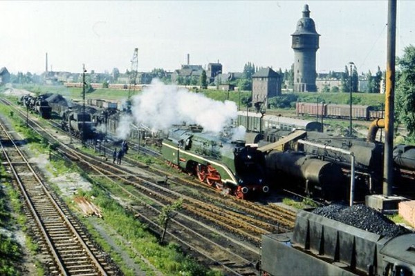 d239