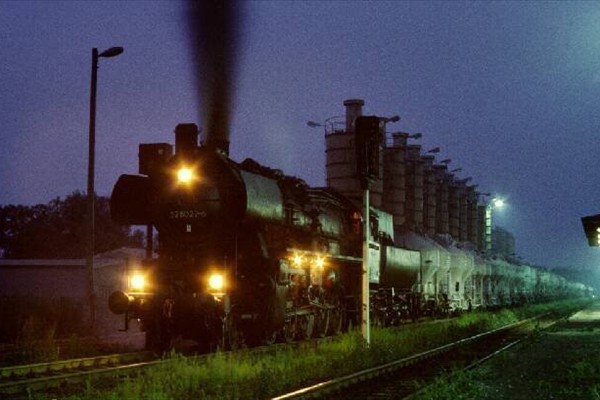d258