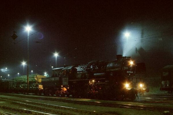 d259