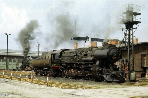 d268