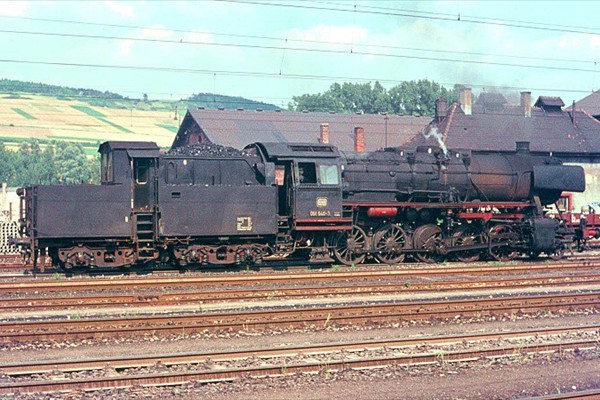 d294