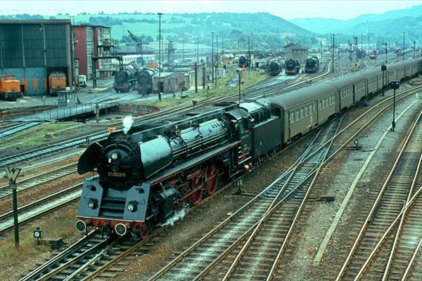 d309