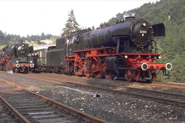d31