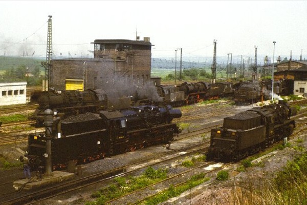 d323