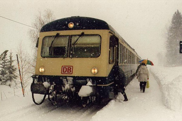 tr20