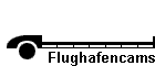 Flughafencams